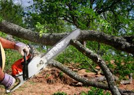 Lawn Maintenance Plans in Lyncourt, NY